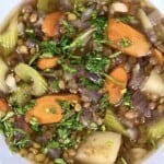 flatly image of instant pot lentil soup