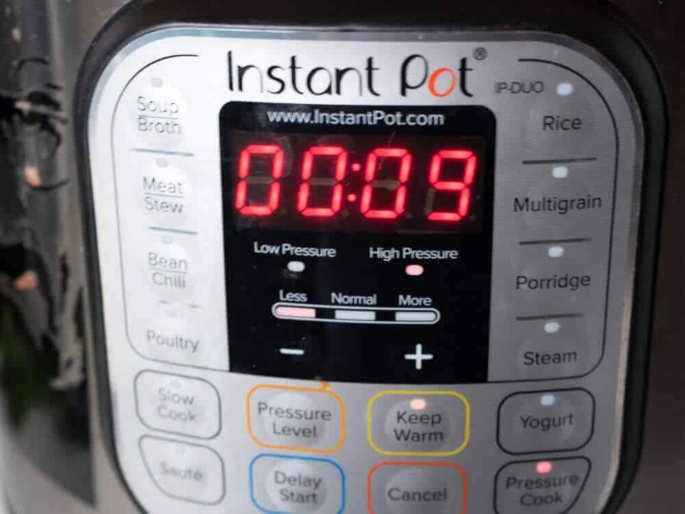 Instant Pot cooking time photo