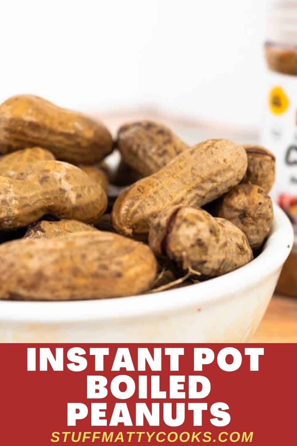 instant pot boiled peanuts pinterest pin