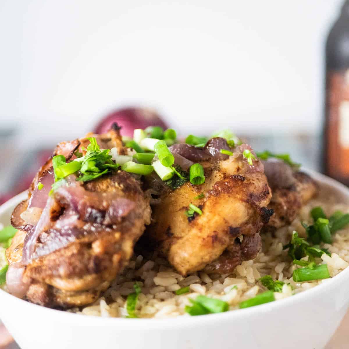 Pressure Cooker Chicken and Rice - Onion Rings and Things