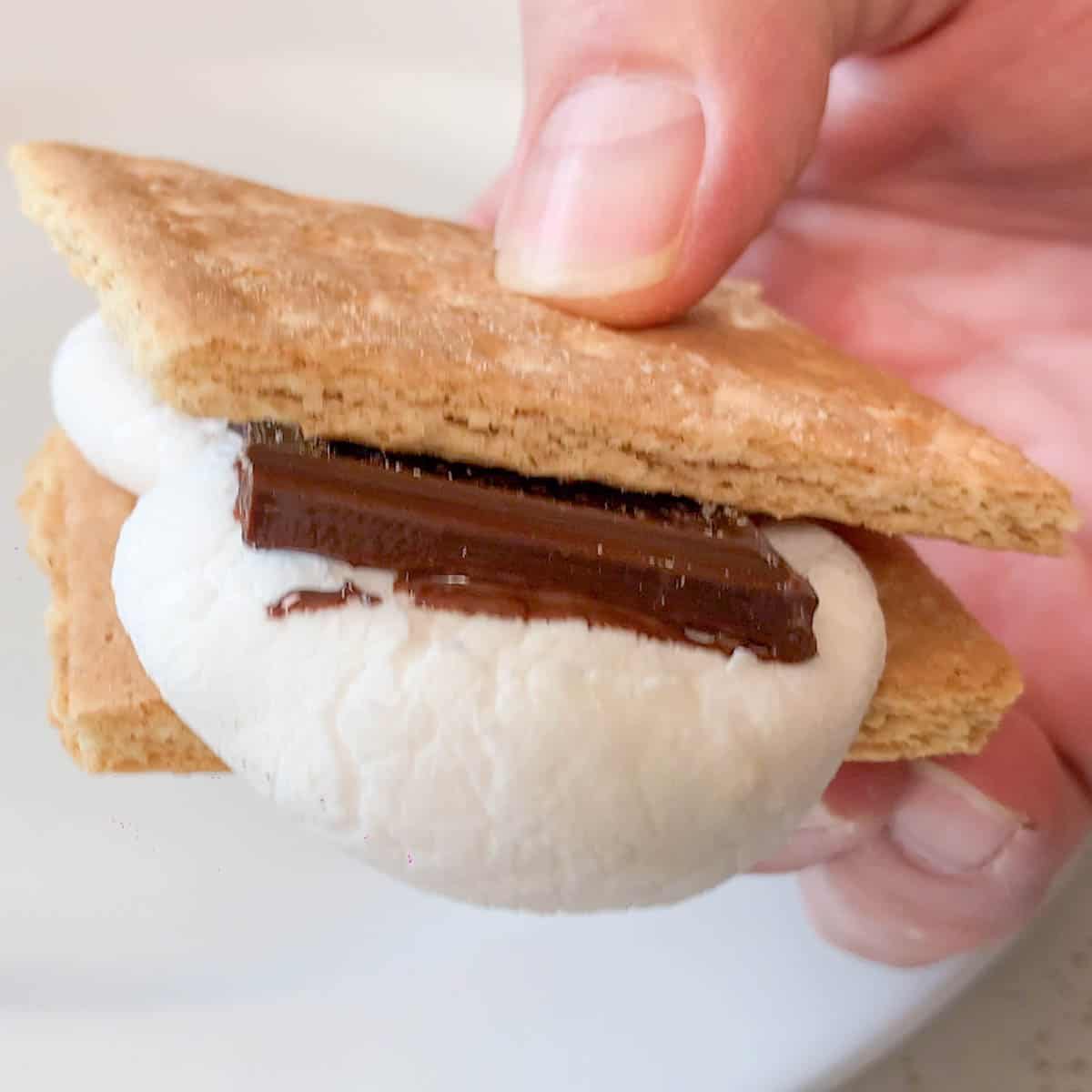 air fryer s'mores close up featured image