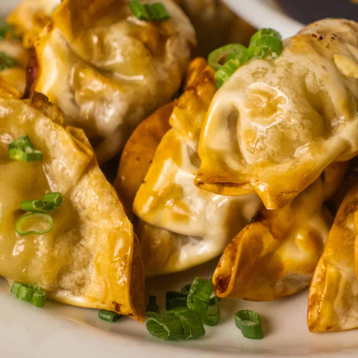 Air Fryer Pot Stickers - Cooks Well With Others