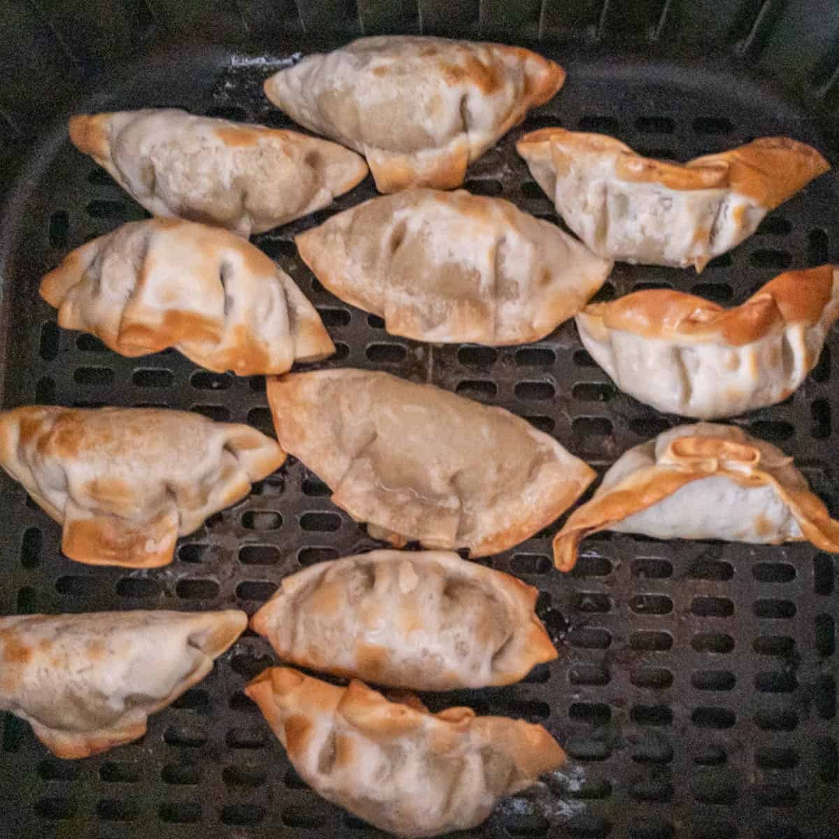 Frozen Air Fryer Dumplings Cooking Step 1.